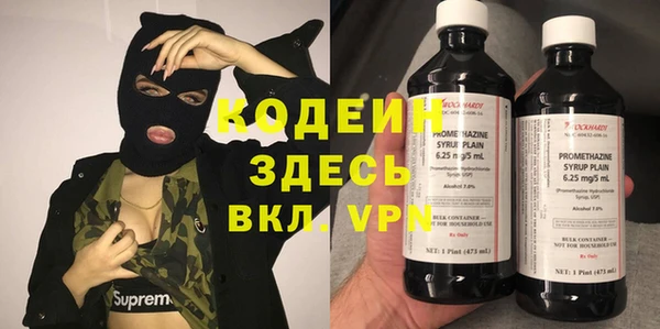ECSTASY Алзамай
