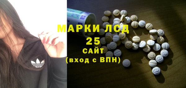 гашик Аркадак