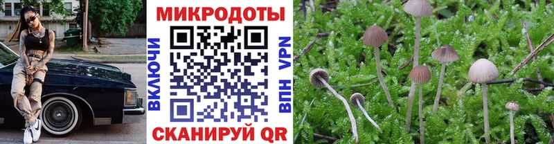Галлюциногенные грибы прущие грибы  Пролетарск 